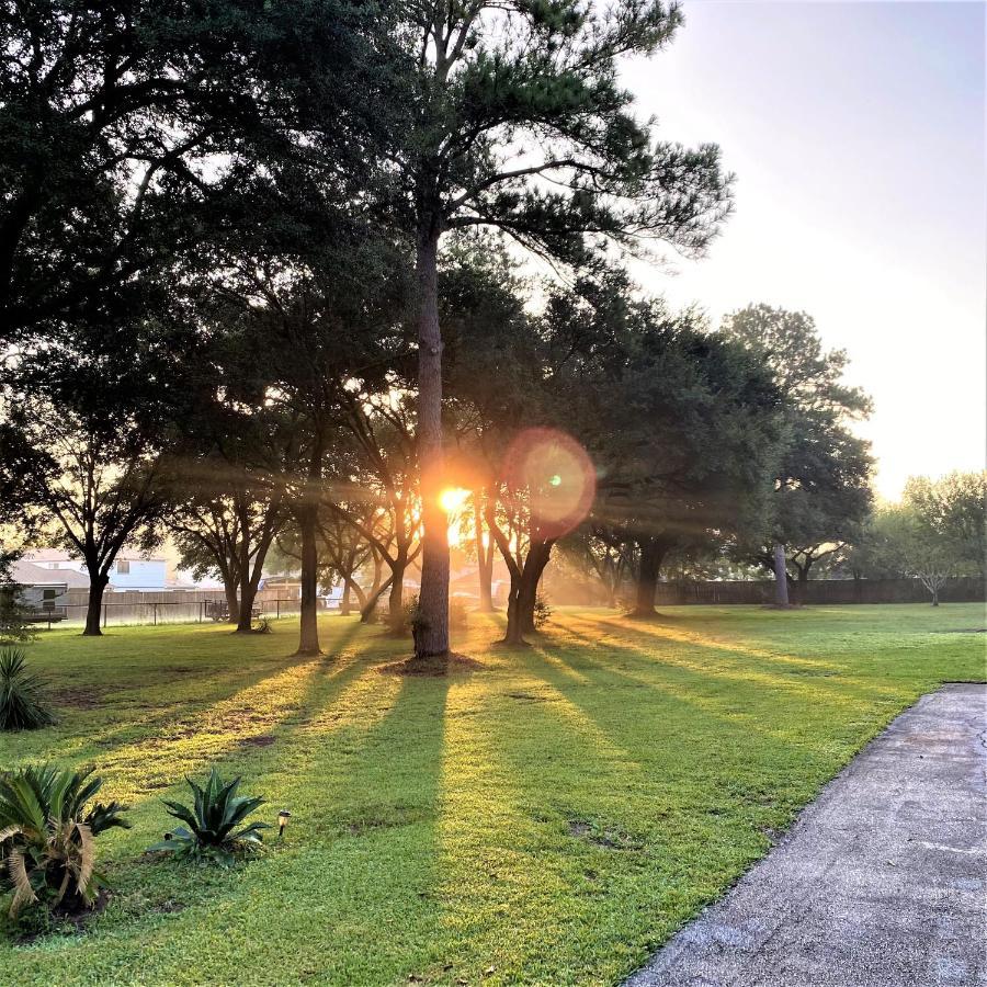 Stunning 4 Acre Retreat With Hot Tub, Sauna And Pool Tomball Extérieur photo